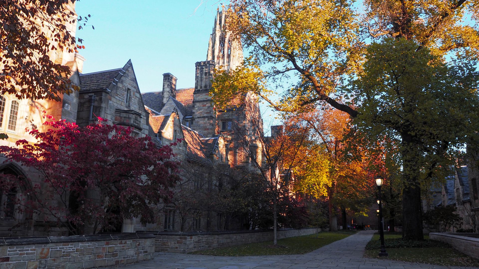 Universidad de Yale (New Haven, Connecticut)